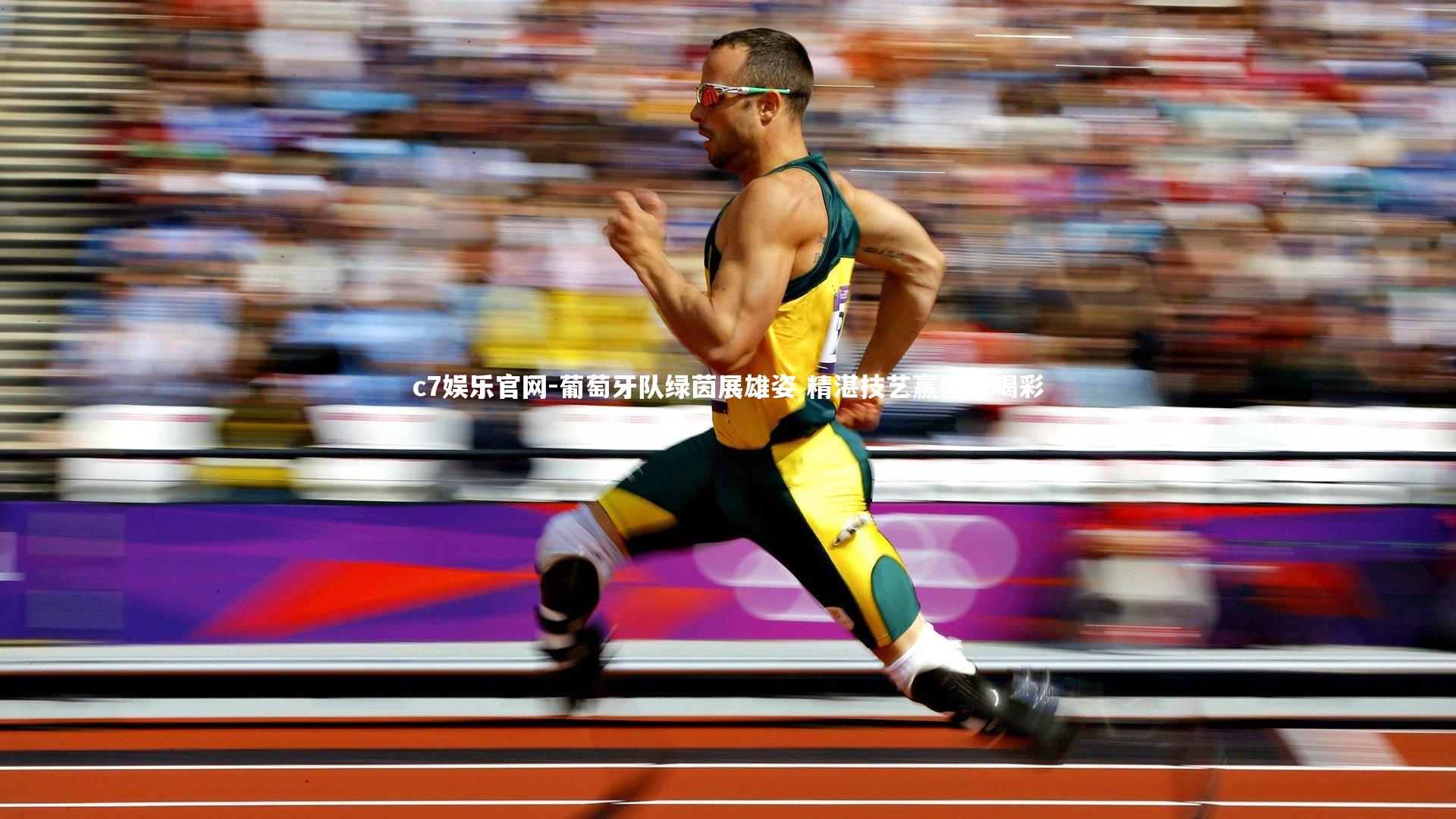 葡萄牙队绿茵展雄姿 精湛技艺赢满堂喝彩